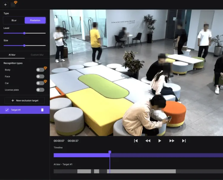 blur video management