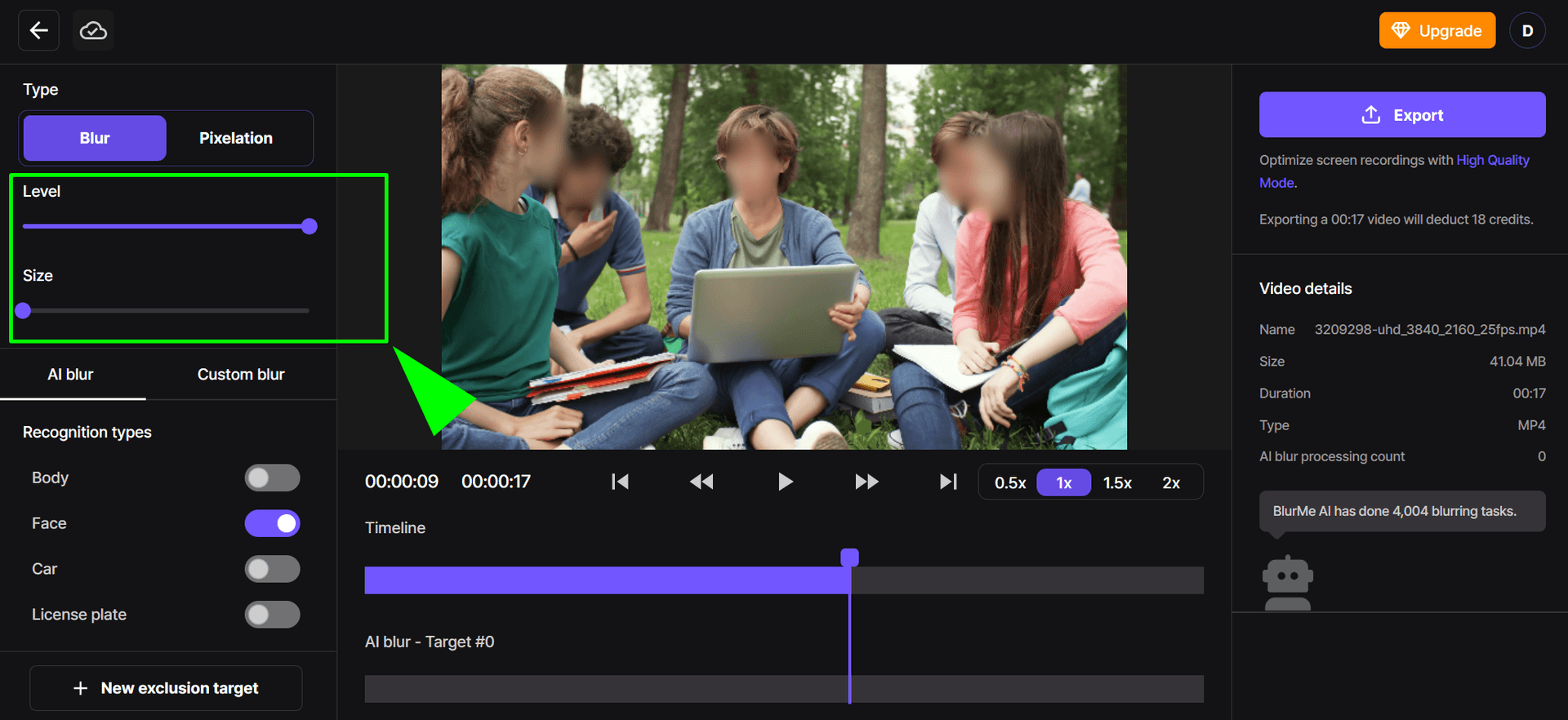 Preview window in BlurMe showing blur customization settings, including blur style (pixelated or soft) and intensity sliders.
