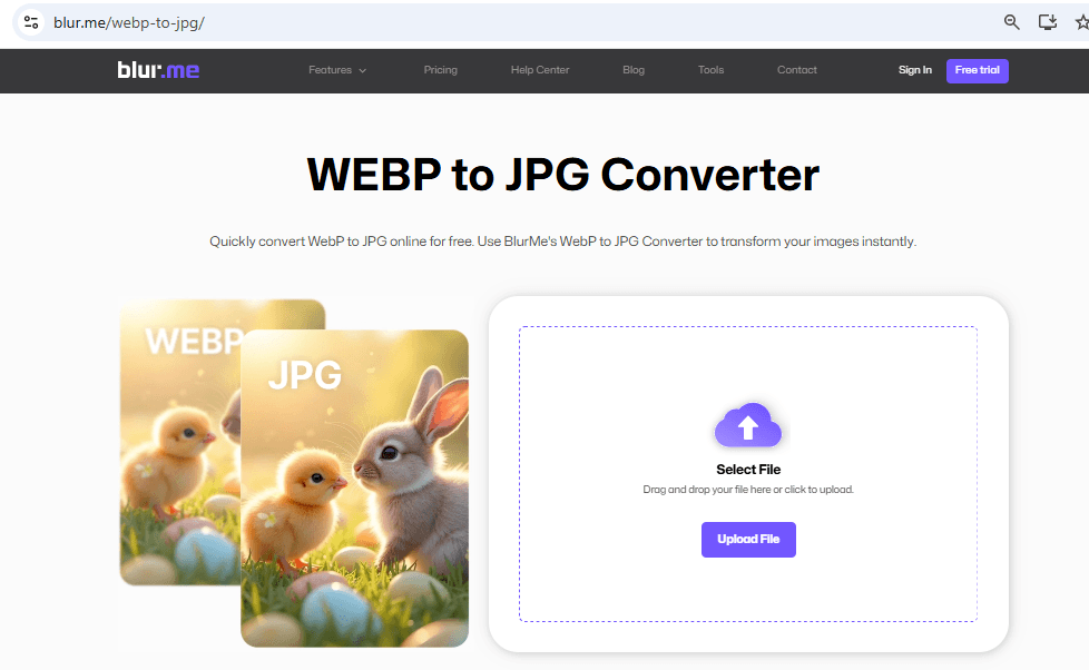 BlurMe WebP zu JPG-Konverter-Seite.