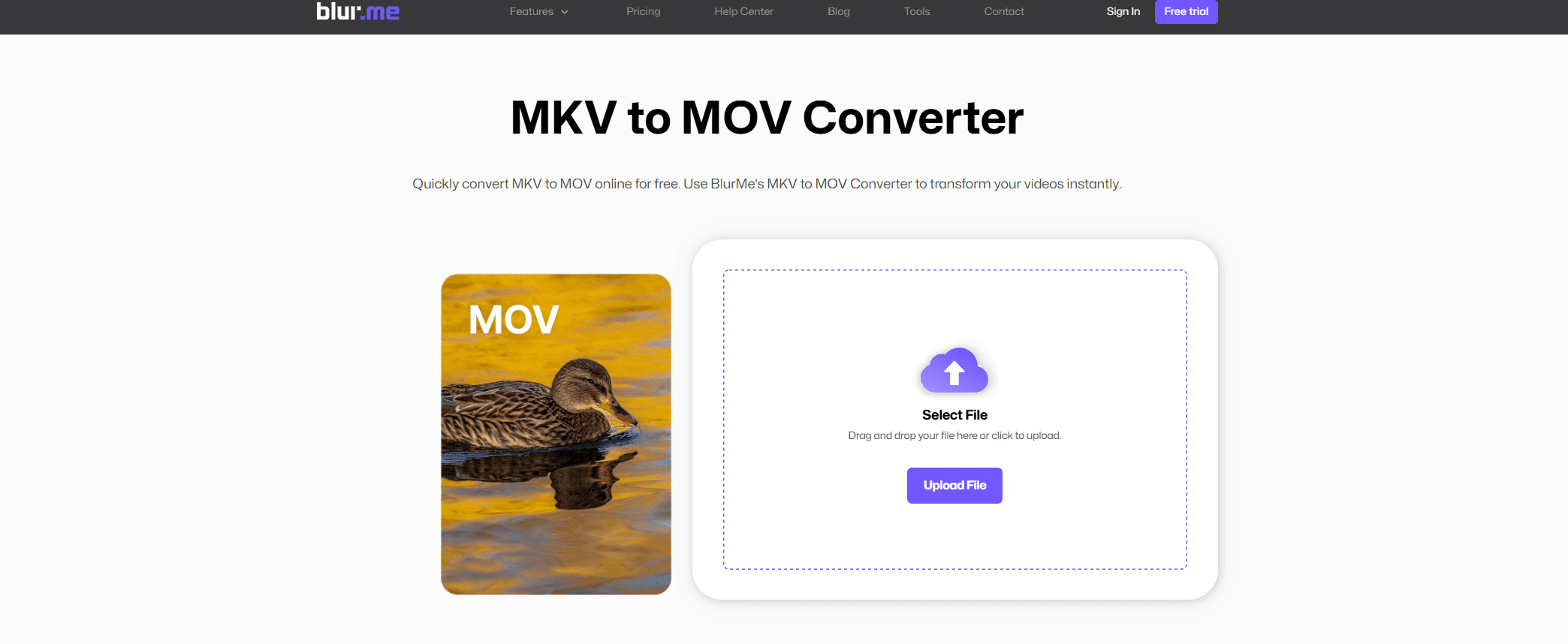 page du convertisseur mkv en mov.