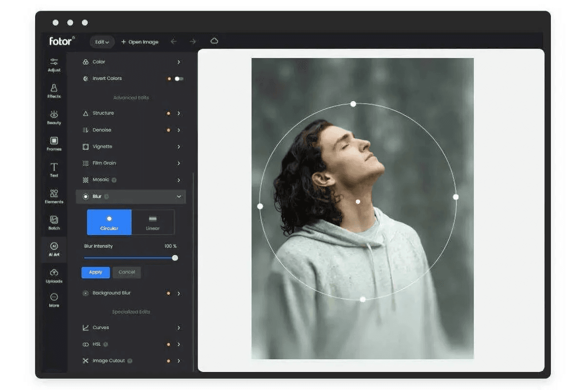 Fotor blur image page.